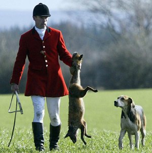 fox-hunting-2